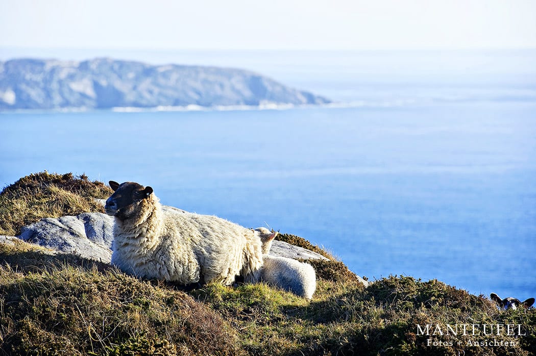 Ireland Westcork Sheep’s Head Chris Manteufel